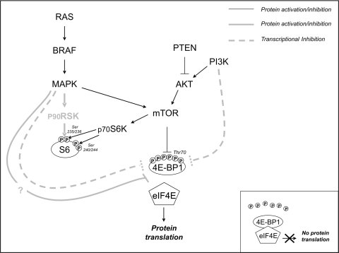 Fig. 1.