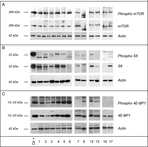 Fig. 4.