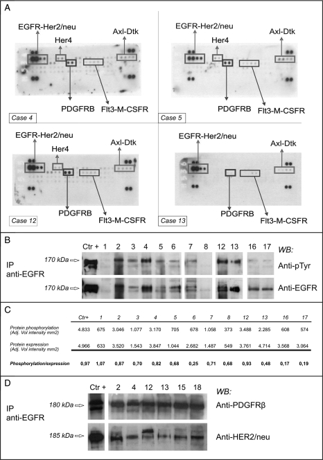 Fig. 2.