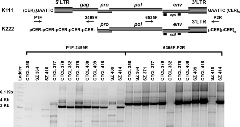 Fig. 7