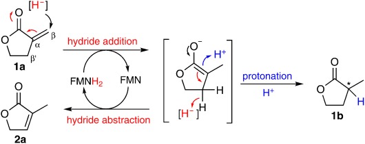 Scheme 3