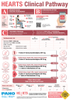 The HEARTS Clinical Pathway