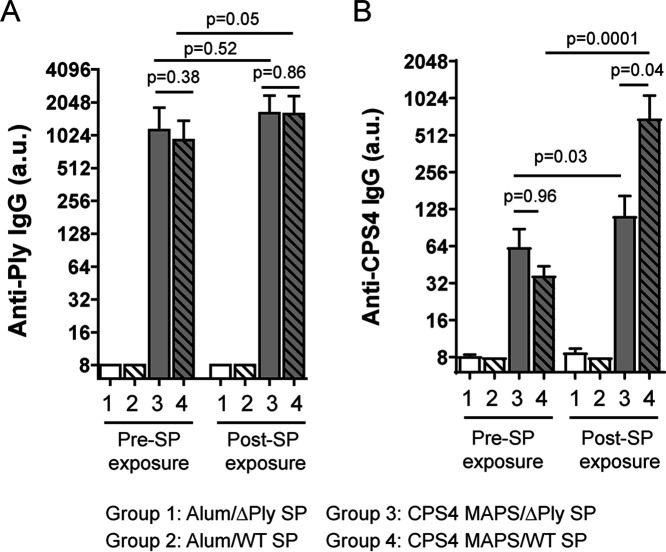 FIG 6