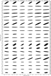 Extended Data Fig. 10