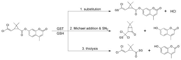 Fig. 5