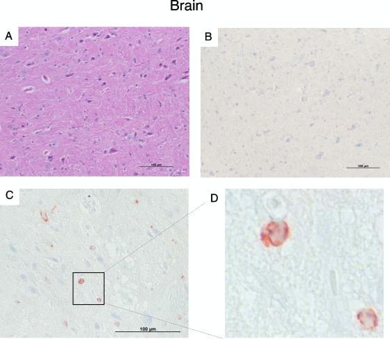 FIG. 7.