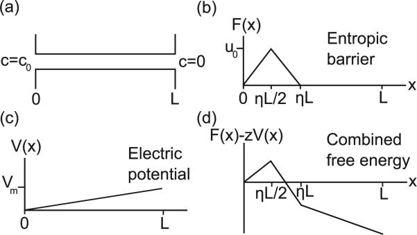 FIG. 3