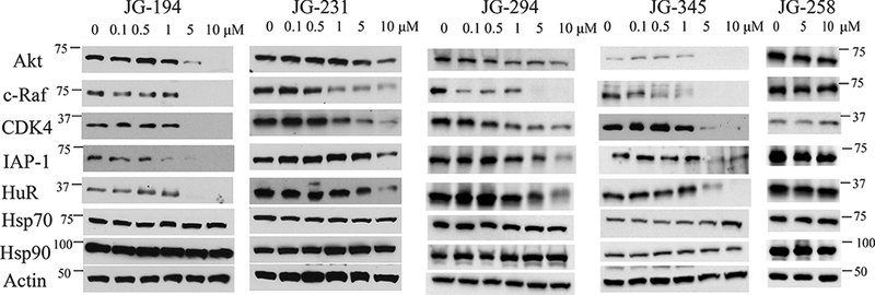 Figure 4: