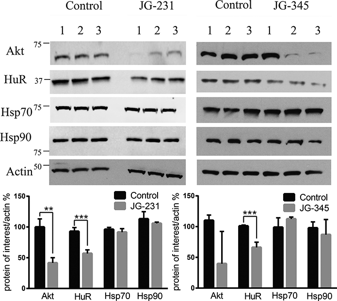 Figure 6: