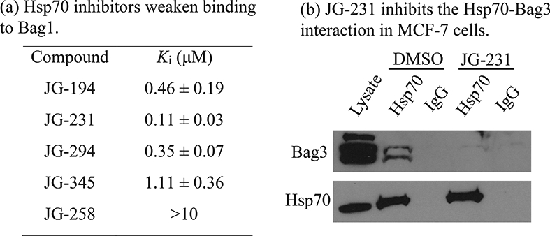 Figure 3: