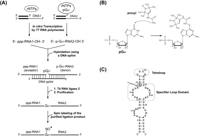 Figure 1.