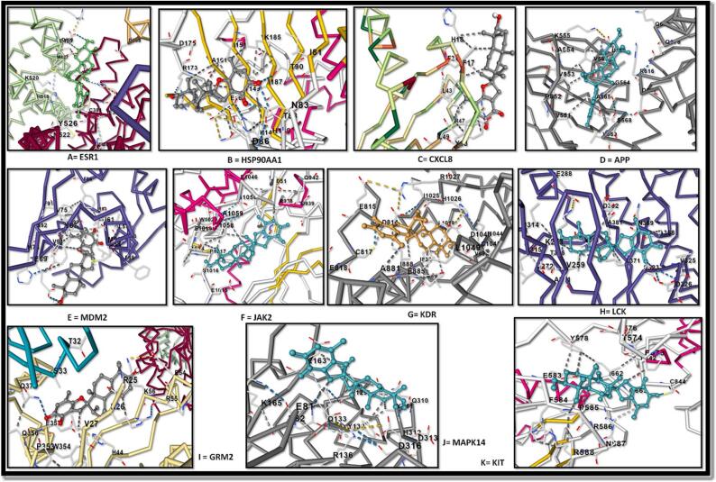 Fig. 9