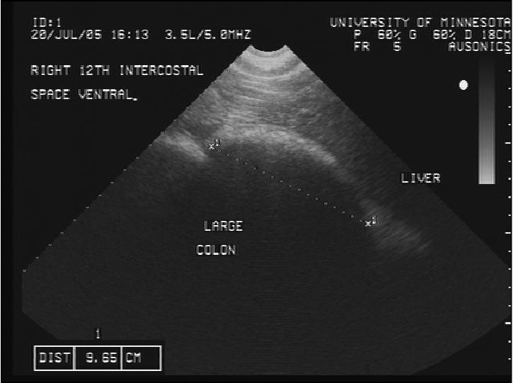 Figure 2a