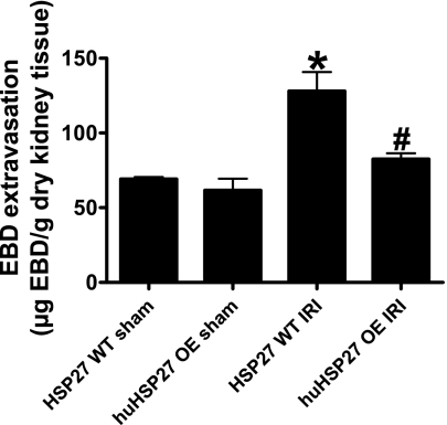 Fig. 9.