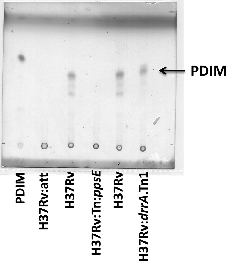 FIG 3