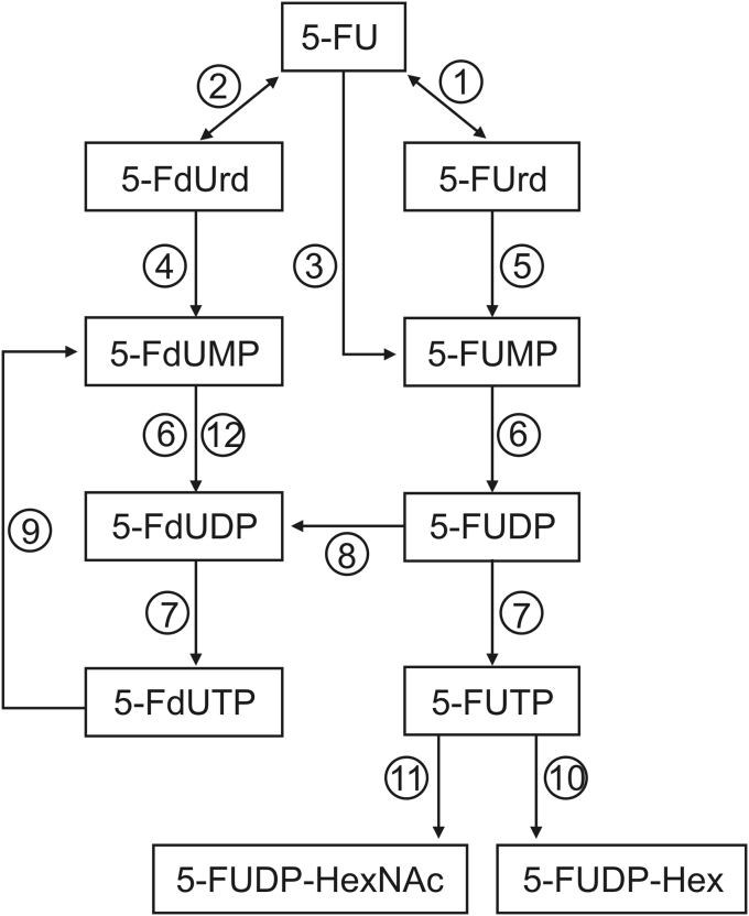 Fig. 1