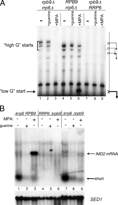 FIG. 6.