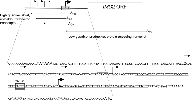 FIG. 1.