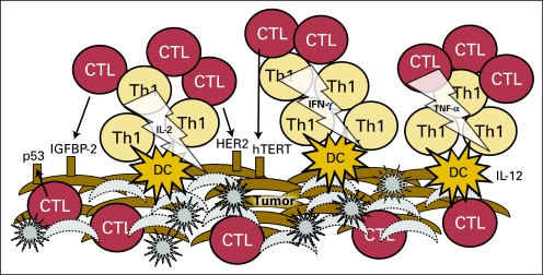 Fig 2.