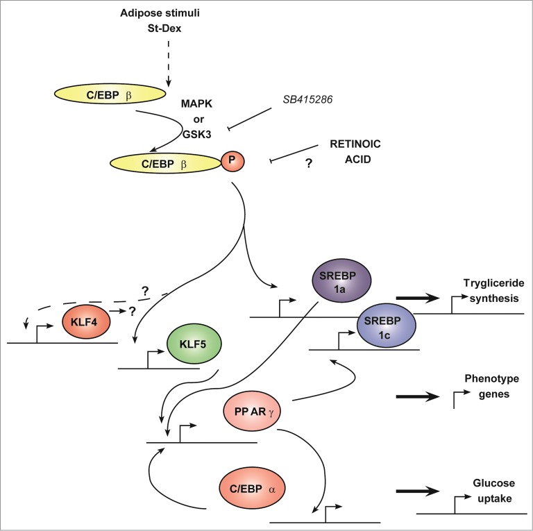 Figure 4.