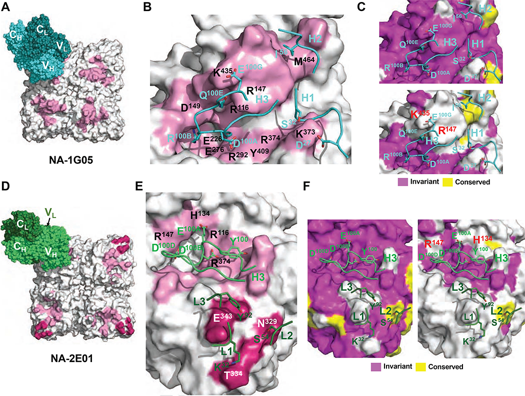 Figure 6.