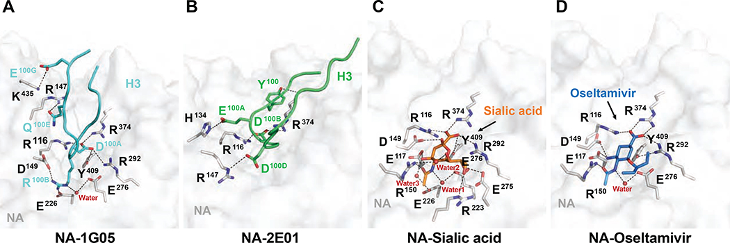 Figure 7.