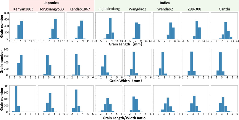 Figure 11