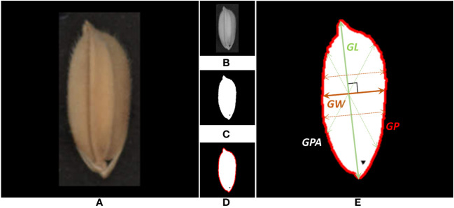 Figure 5