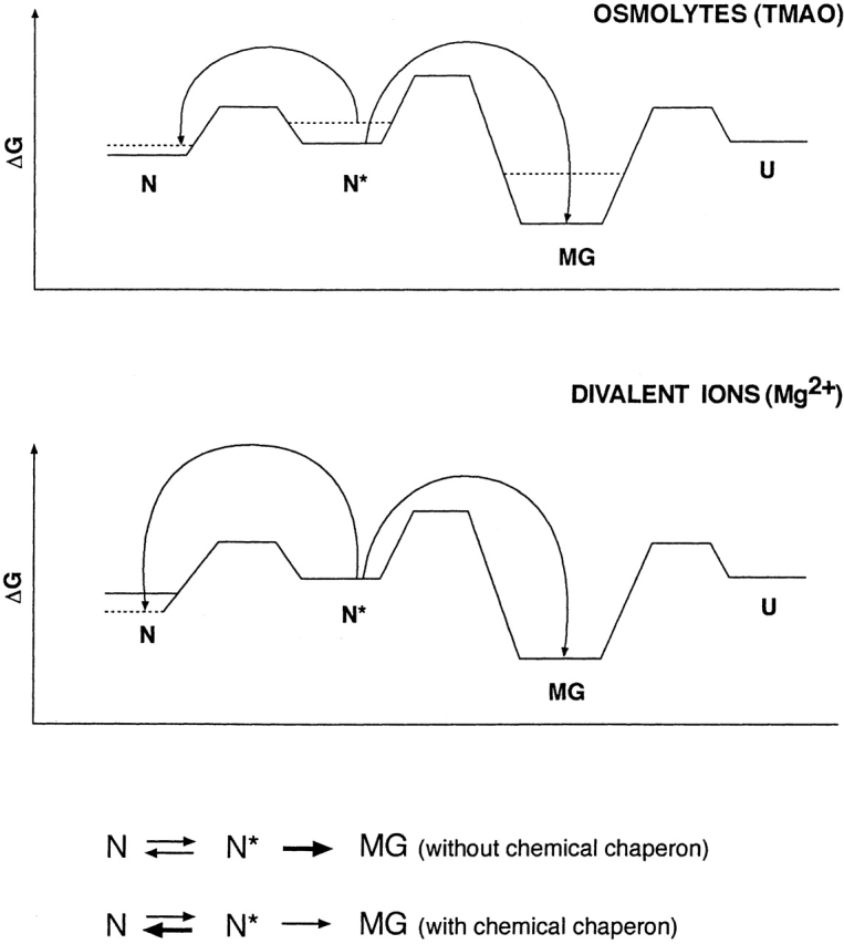 Scheme 3.