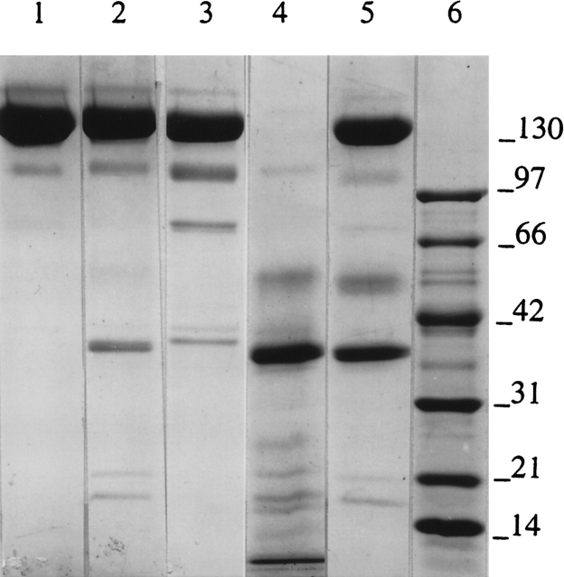 Figure 14.