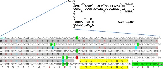 Fig 4