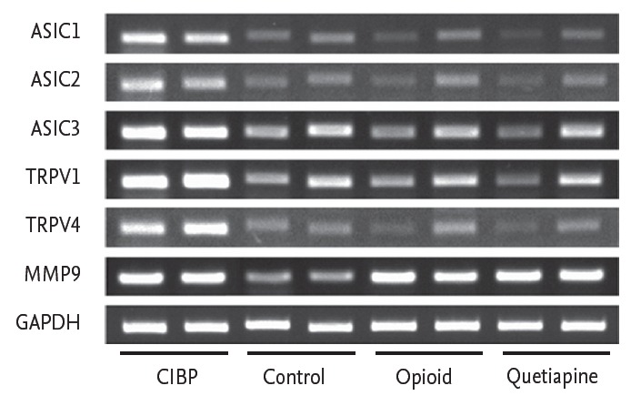 Figure 5.