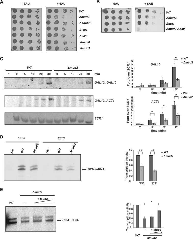 Figure 6.