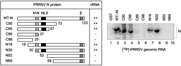 FIG. 7.