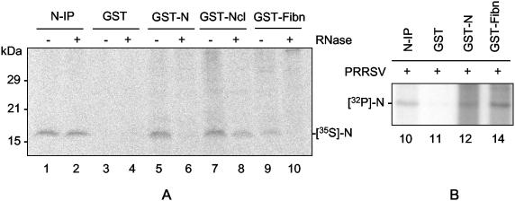 FIG. 9.