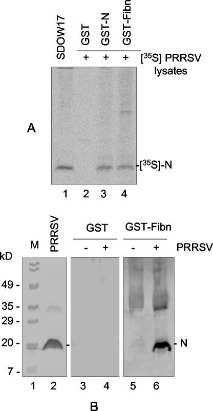 FIG. 4.