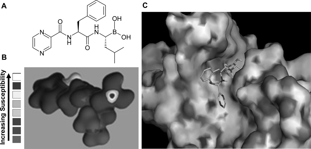 Fig. (2)