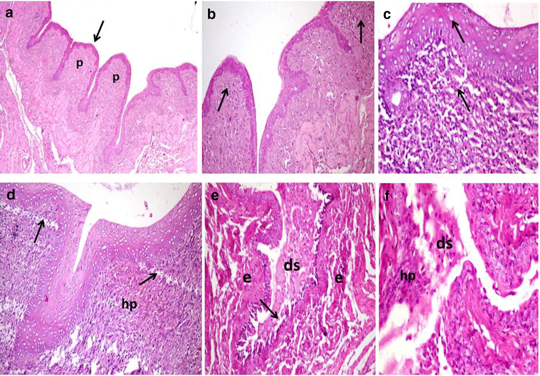 Fig. 6