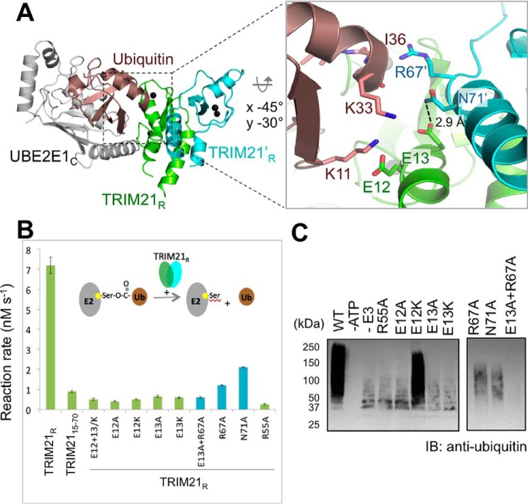 Figure 2.