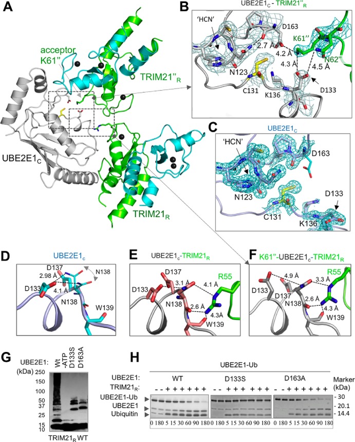 Figure 3.