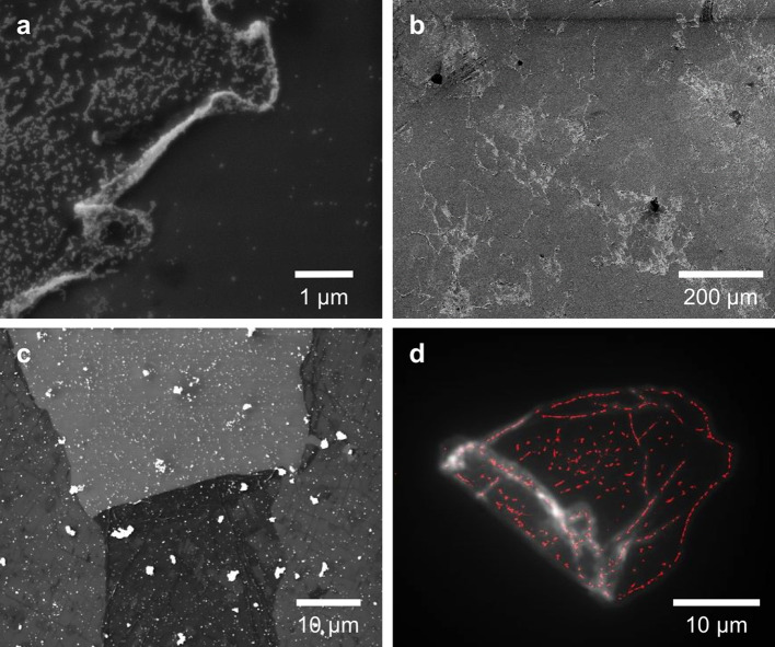 Figure 4