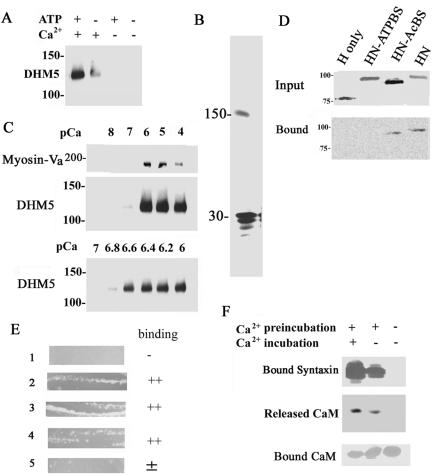 Figure 5.