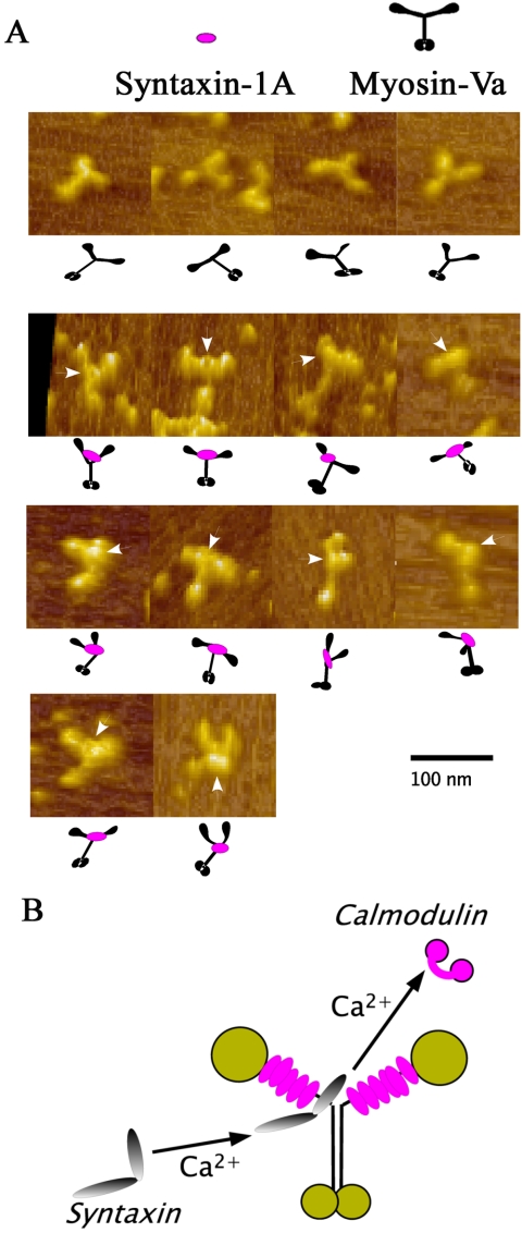 Figure 6.