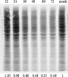 FIG. 10.