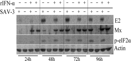 FIG. 9.