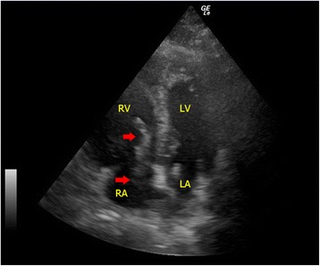 Fig. 7