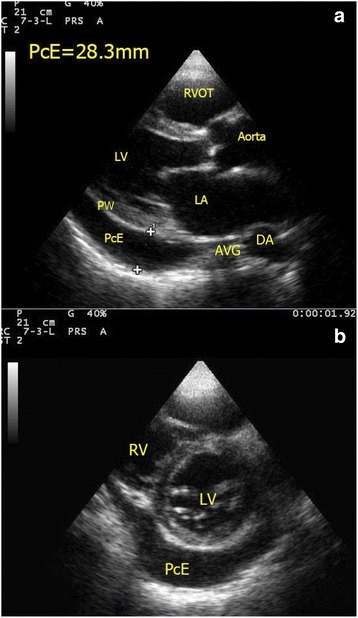 Fig. 8