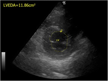 Fig. 3