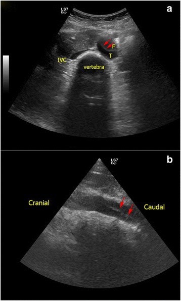 Fig. 10