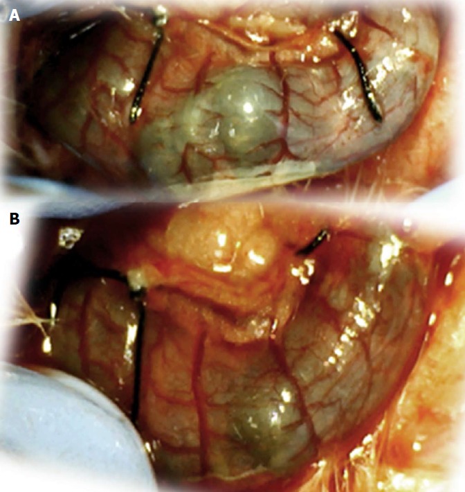 Figure 18